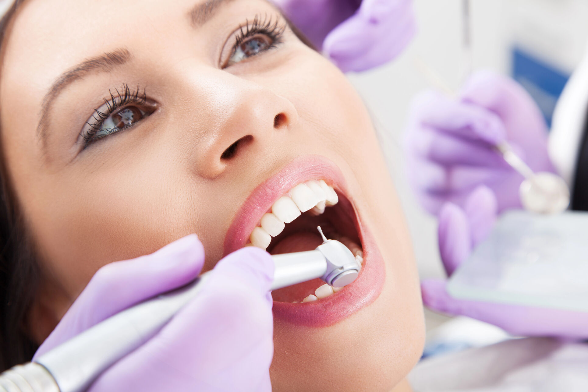 Detailed illustration of tooth anatomy showing the pulp and root canals